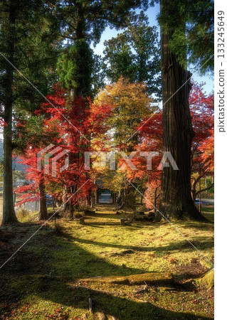 Autumn leaves at Jionji Temple in Daigo Town, Ibaraki Prefecture Autumn leaves at Jionji Temple in Daigo Town, Ibaraki Prefecture 133245649