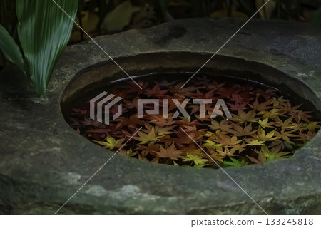 Autumn leaves floating in water Autumn leaves floating in water 133245818
