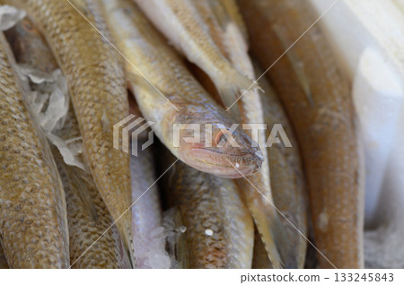 Freshly caught fish glistening on ice at a vibrant market in the early morning light 133245843