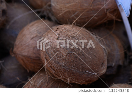 Unique brown coconuts displayed in a vibrant market on a sunny afternoon in tropical paradise 133245848