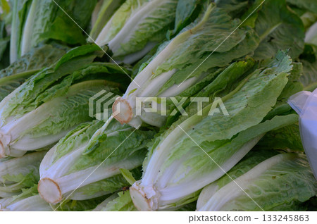Fresh romaine lettuce stacked neatly at a local market, showcasing vibrant greens under warm sunlight Fresh romaine lettuce stacked neatly at a local market, showcasing vibrant greens under warm sunlight 133245863