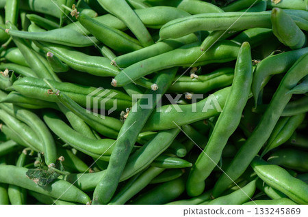 Freshly picked green beans in a vibrant farmers market display under bright sunlight 133245869