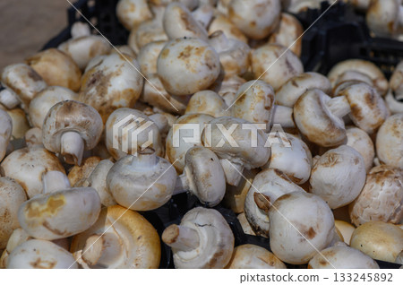 Freshly harvested white mushrooms displayed on a market stall in the afternoon sunlight Freshly harvested white mushrooms displayed on a market stall in the afternoon sunlight 133245892