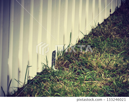 green grass and white wooden fence. 133246021