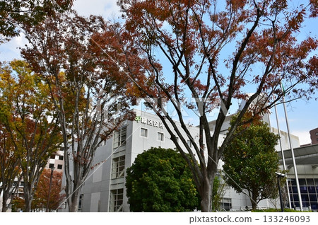 <千葉縣> 千葉市綠區辦事處 <千葉縣> 千葉市綠區辦事處 133246093