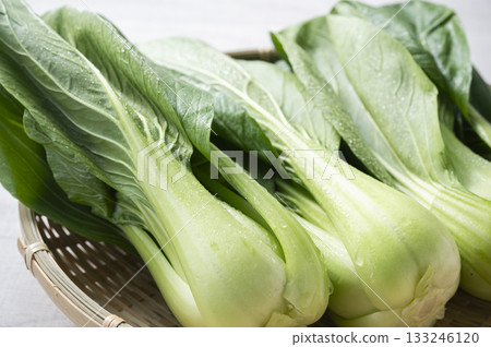 白菜 白菜 133246120