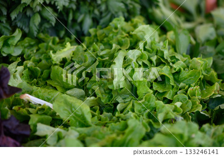 Fresh and vibrant greens showcased at a lively farmer's market in the heart of summer Fresh and vibrant greens showcased at a lively farmer's market in the heart of summer 133246141