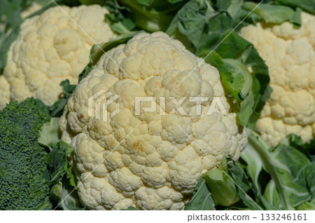 Freshly harvested cauliflower displays vibrant colors in a bustling farmer's market in summer season Freshly harvested cauliflower displays vibrant colors in a bustling farmer's market in summer season 133246161