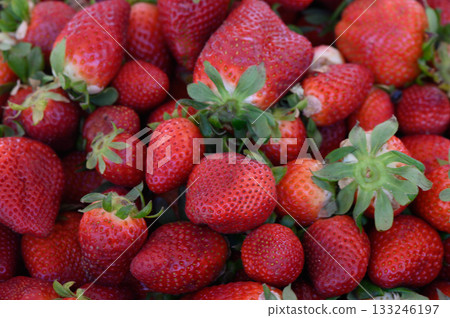 Freshly harvested strawberries glistening under the warm sun at a local market in summer Freshly harvested strawberries glistening under the warm sun at a local market in summer 133246197