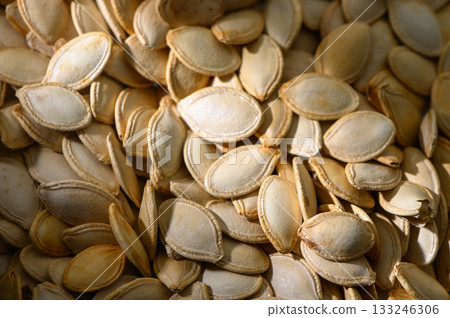 Harvesting the bounty of autumn with a close-up of pumpkin seeds awaiting transformation 133246306