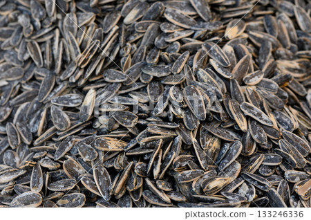 Sunflower seeds gathered in abundance during a sunny afternoon harvest 133246336