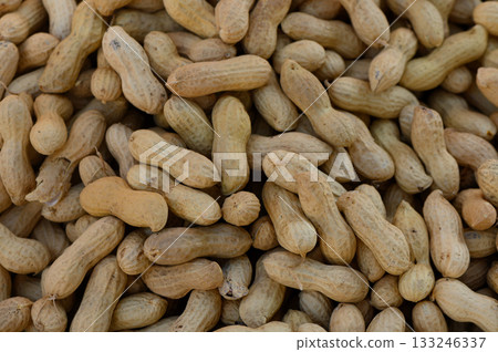 Peanuts arranged beautifully for sale at a vibrant local market during a sunny afternoon 133246337