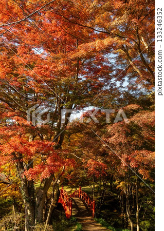 Autumn leaves at Yamatsuriyama Park Autumn leaves at Yamatsuriyama Park 133246352