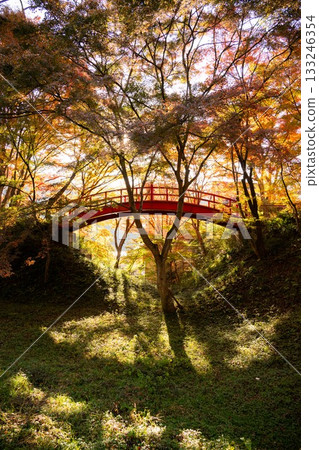 山津里山公園的秋葉 133246354