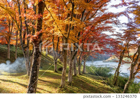 山津里山公園的秋葉 山津里山公園的秋葉 133246370