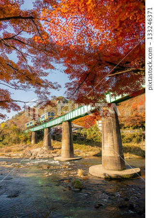 Autumn leaves at Yamatsuriyama Park 133246371