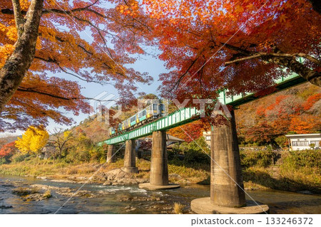 山津里山公園的秋葉 133246372