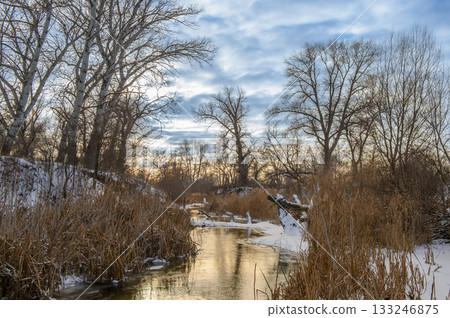 Winter river landscape with frost-covered trees and golden sunlight at dusk 133246875