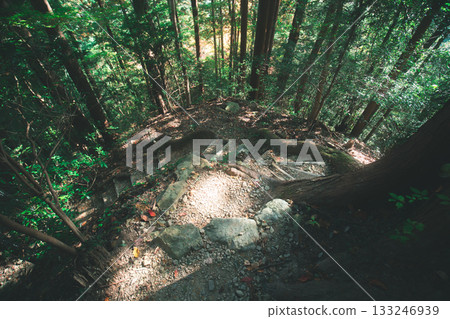 森林中的陡坡 森林中的陡坡 133246939