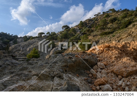 Nature's artistry on display with rocky terrain and lush greenery under a bright blue sky Nature's artistry on display with rocky terrain and lush greenery under a bright blue sky 133247004