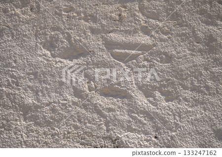 Intricate textures and patterns showcased on a weathered white wall under bright sunlight 133247162