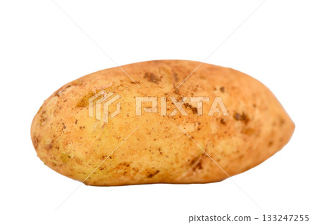 Fresh Cyprus Potato on White Background Fresh Cyprus Potato on White Background 133247255