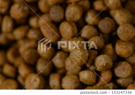 Nourishing pet food pellets scattered in a vibrant kitchen setting during the golden afternoon light Nourishing pet food pellets scattered in a vibrant kitchen setting during the golden afternoon light 133247336