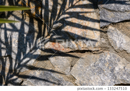 Nature's artwork revealed through shadow and stone in a sunny garden retreat Nature's artwork revealed through shadow and stone in a sunny garden retreat 133247510