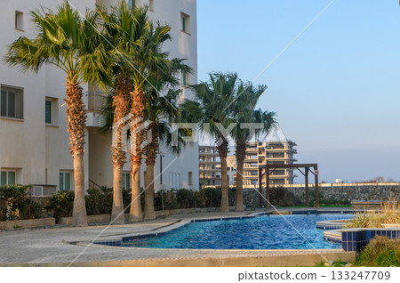 Lush palm trees surround a tranquil swimming pool in a modern residential complex at sunset 133247709