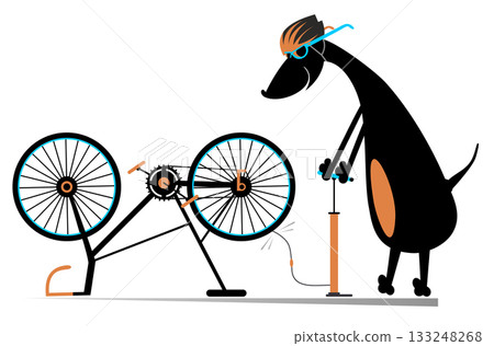 Cycling dog and a broken bicycle. Cute dog inflates the wheel of the bicycle. Sportsperson repairs the bicycle Cycling dog and a broken bicycle. Cute dog inflates the wheel of the bicycle. Sportsperson repairs the bicycle 133248268