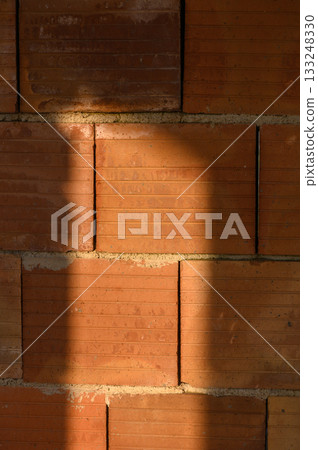 Shadows dance on the textured brick wall in warm afternoon light, creating a moment of quiet beauty Shadows dance on the textured brick wall in warm afternoon light, creating a moment of quiet beauty 133248330