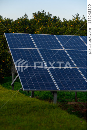 Solar panels capture sunlight in a lush field surrounded by greenery during the golden hour of the evening Solar panels capture sunlight in a lush field surrounded by greenery during the golden hour of the evening 133248390