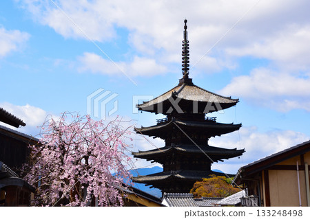 春天,京都東山,法觀寺,五重塔 春天,京都東山,法觀寺,五重塔 133248498