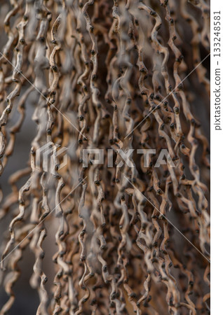 Intricate strands of natural fibers create a mesmerizing display of texture and form in a rustic setting Intricate strands of natural fibers create a mesmerizing display of texture and form in a rustic setting 133248581
