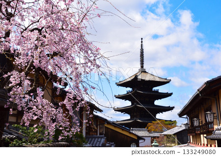 Spring, Kyoto Higashiyama, Hokanji Temple, Five-story Pagoda 133249080