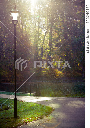 Sunbeams trough trees in park Sunbeams trough trees in park 133249183
