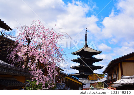 Spring, Kyoto Higashiyama, Hokanji Temple, Five-story Pagoda 133249210