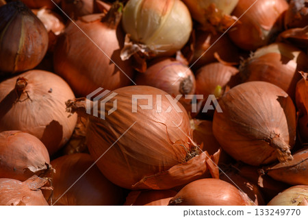 Freshly harvested onions in vibrant golden hues at the local market showcasing autumn's bounty 133249770