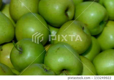 Harvesting vibrant green apples in a sunlit orchard during a warm autumn afternoon Harvesting vibrant green apples in a sunlit orchard during a warm autumn afternoon 133249922