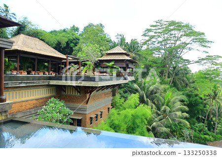 巴厘島烏布的豪華度假村“曼達帕麗思卡爾頓酒店” 133250338