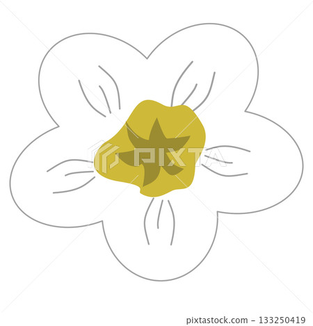 cute white flower illustration 133250419