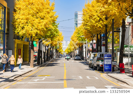 Autumn in Seoul, Gangnam, Garosugil (Tree Street) 133250504