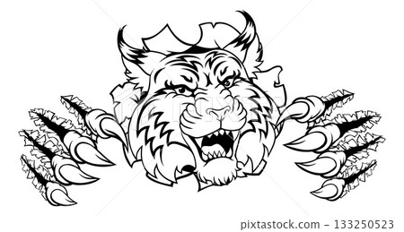 Wildcat Bobcat Sports Team Cartoon Animal Mascot 133250523