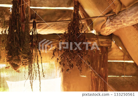 Medicinal plants hang in a village hut for health. Bunches of dried herbs: thyme, calendula, nettle, and chamomile. A folk herbal pharmacy, close-up Medicinal plants hang in a village hut for health. Bunches of dried herbs: thyme, calendula, nettle, and chamomile. A folk herbal pharmacy, close-up 133250561