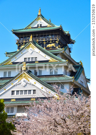 Spring Osaka Castle 133250619