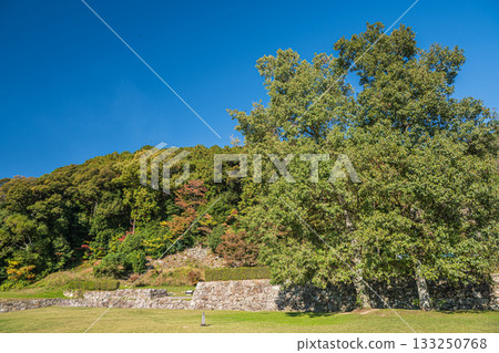 滋賀縣近江八幡市安土城遺址 133250768
