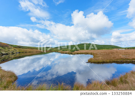 北海道大雪山沼之平的秋日草地、樹葉和池塘景色 133250884
