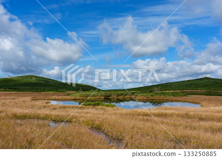北海道大雪山沼之平的秋日草地、樹葉和池塘景色 133250885
