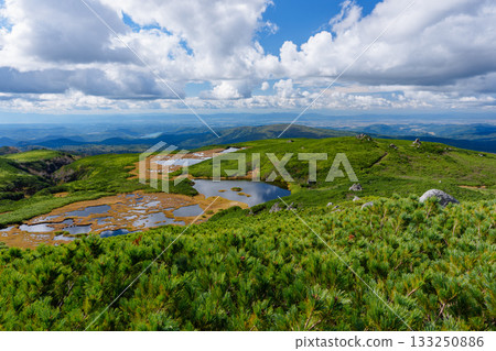 北海道大雪山沼之平的秋日草地、樹葉和池塘景色 北海道大雪山沼之平的秋日草地、樹葉和池塘景色 133250886