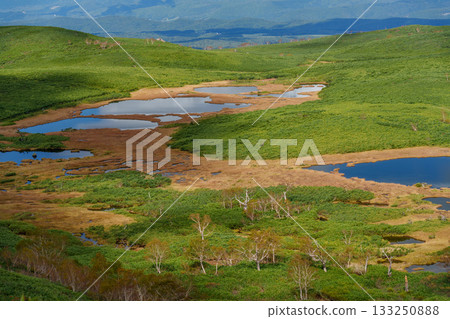 北海道大雪山沼之平的秋日草地、樹葉和池塘景色 133250888